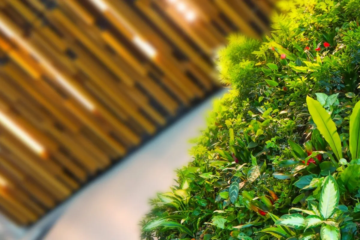 Living Wall vs. Hedge Wall: Which Is Right for Your Event?