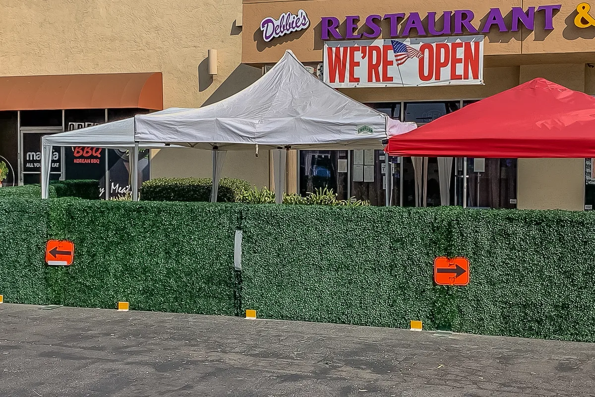 Neon Signs on Hedge Walls: A Design Guide